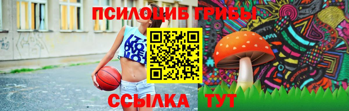 Галлюциногенные грибы GOLDEN TEACHER  Вход с VPN  Нефтекамск 